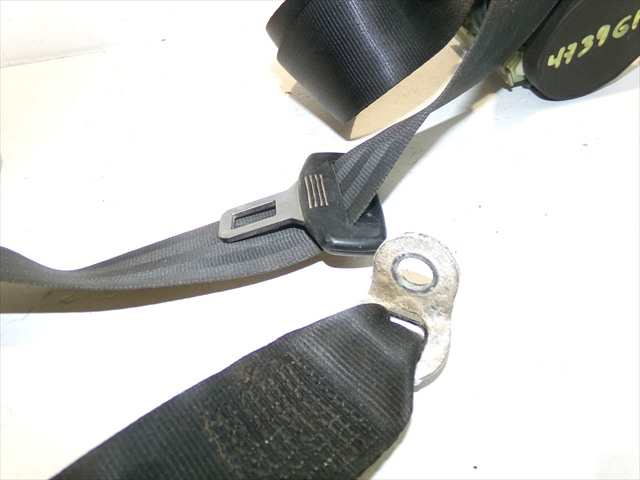 Foto 3ª: Cinturón Trasero Derecho Seat Altea 1.9 TDI 2005-2013 [BLS] (2009)