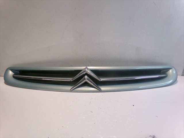 Rejilla Delantera Citroen Xsara 2.0 HDI 1999-2010