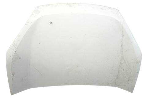 Foto 1ª: Capot Fiat Doblo 1.3 D MULTIJET 263WXU1A 263ZXU1A 263WYB1A 263ZYB1A) (2010)