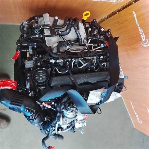 Foto 3ª: Motor Completo Seat Leon 1.6 TDI 105CV [CLH] (2014)
