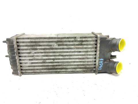 Foto 1ª: Intercooler Citroen Xsara PICASSO 90CV 66KW [9HZ] (2006)