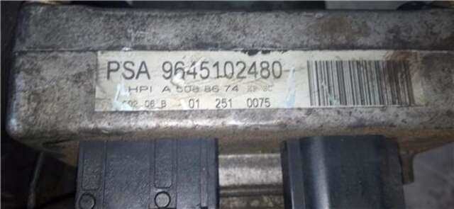 Foto 2ª: Bomba de Direccion Peugeot 307 2.0 HDI 110 [RHS (DW10ATED)]