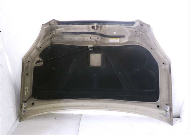 Foto 2ª: Capot Kia Carens 2.0 CRDI 2006-2013 [D4EA] (2009)