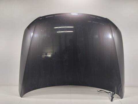 Capot Volkswagen Passat ADVANCE 2 TDI 140CV