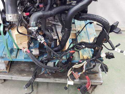 Foto 3ª: Motor Completo Renault Arkana TECHNO