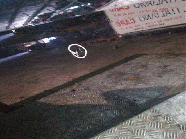 Foto 4ª: Puerta Delantera Derecha Ford Focus TREND 116CV 85KW [KKDA1G] (2008)