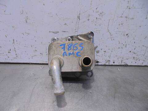 Radiador Aceite Ford Focus AMBIENTE BERLINA 90CV 66KW