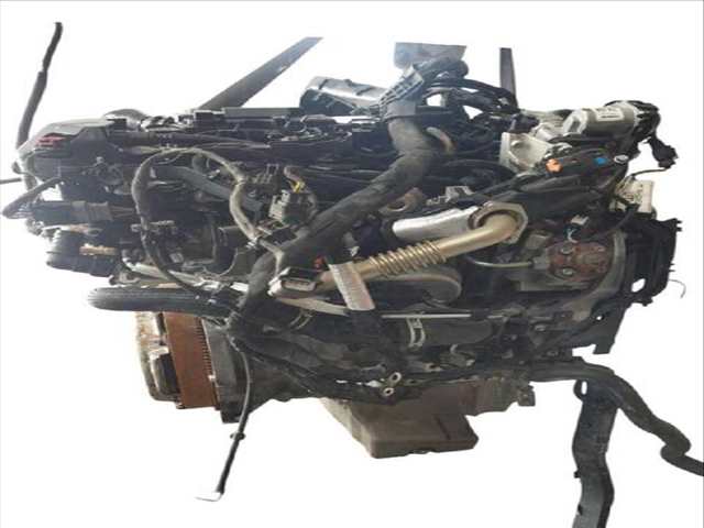 Foto 3ª: Motor Completo Ford Transit 1.5 TDCI FURGONETA (2014)