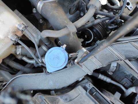 Deposito Limpiaparabrisas Ford Focus M1DD BERLINA