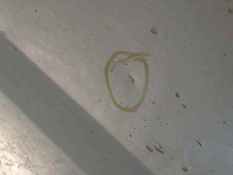 Foto 4ª: Puerta Delantera Derecha Land Rover Range 2.7 TD V6 CAT 190CV 140KW [276DT] (2006)