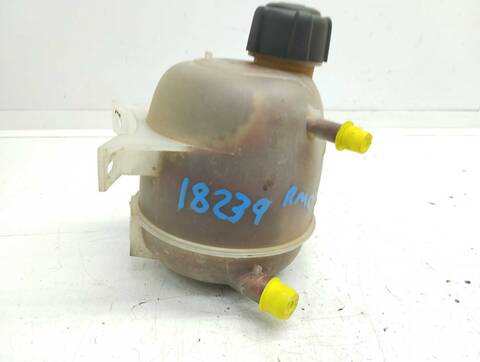 Foto 3ª: Deposito Expansion Renault Scenic 1.9 DCI AUTHENTIQUE 102CV 75KW JA..) [F9Q K7] (2001)