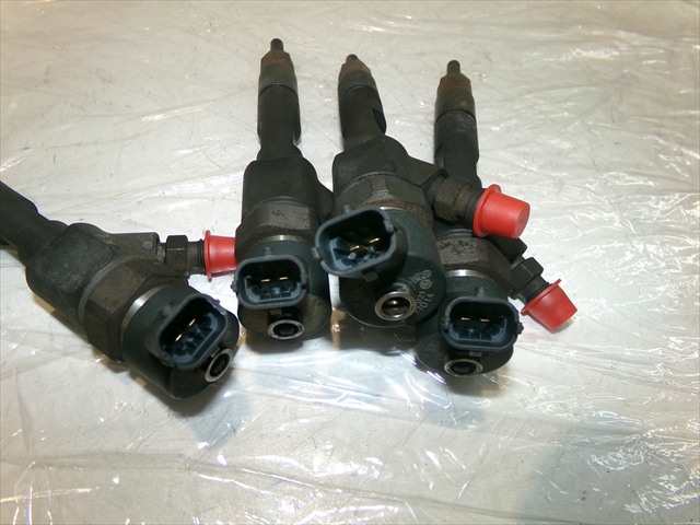 Foto 4ª: Inyectores Renault Laguna 1.9 DCI 2001-2007 [F9QC7] (2002)