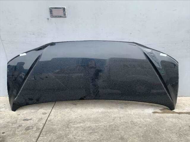 Foto 1ª: Capot Hyundai Santa Fe 2.200 CRDI 150CV/110KW [D4EB] (2006)