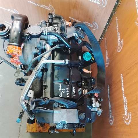 Foto 3ª: Motor Completo Suzuki Grand Vitara 1.9 DCI 130CV [F9QB264] (2006)