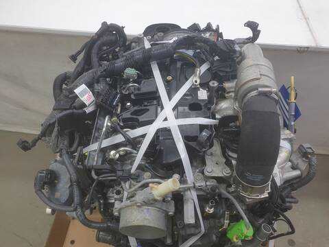 Motor Completo Nissan Navara ACENTA DOUBLE CAB 4X4