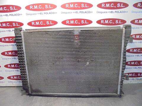 Foto 2ª: Radiador Motor Audi A6 2.5 TDI BERLINA 163CV 120KW [BCZ] (2003)