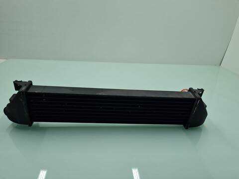 Foto 3ª: Intercooler Land Rover Freelander 2.0 TD4 CAT 112CV 82KW (2006)