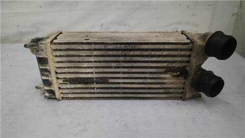 Intercooler Citroen Berlingo 1.6 X [1 6 LTR. - 55 KW 16V HDI] 75CV
