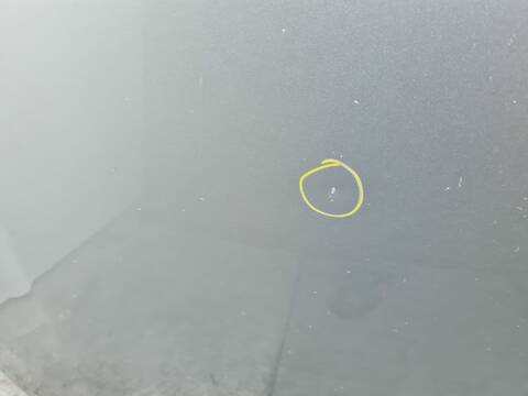 Foto 2ª: Capot Volkswagen Touran ADVANCE 140CV 103KW [BKD] (2007)