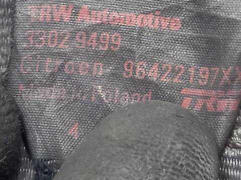 Foto 3ª: Cinturón Delantero Derecho Citroen C2 8HZ (2005)