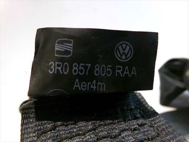 Foto 4ª: Cinturón Trasero Izquierdo Seat Exeo 2.0 TDI 2009-2013 [CAG] (2009)
