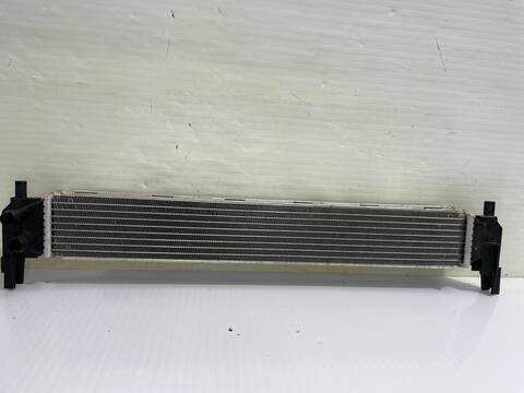 Foto 3ª: Radiador Motor Volkswagen Polo ADVANCE BLUEMOTION 90CV 66KW [CUSB] (2014)