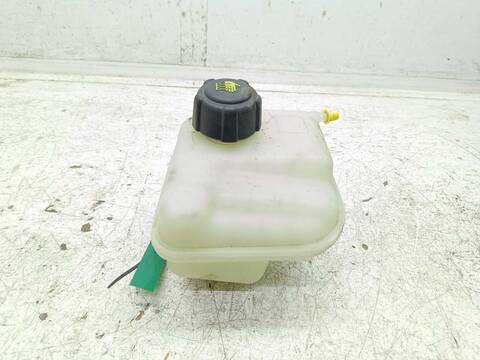 Deposito Expansion Nissan Qashqai ACENTA 141CV 104KW