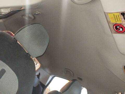 Foto 3ª: Techo Interior Fiat Bravo 1.9 ACTIVE MULTIJET 120CV 88KW [192A8000] (2008)