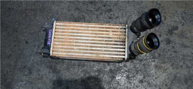 Intercooler Peugeot Partner 1.6 ACCESS [1.6 LTR. - 73 KW BLUE-HDI FAP]