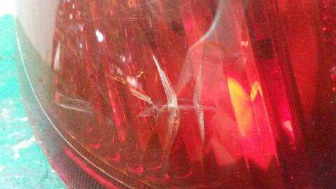 Foto 2ª: Piloto Trasero Izquierdo Toyota Yaris 1.4 TD CAT 75CV 55KW [1NDTV] (2004)