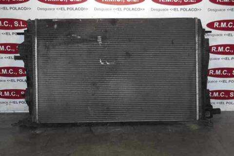 Foto 4ª: Radiador Motor Renault Scenic 2.0 16V 140CV 103KW [M4R F7] (2011)