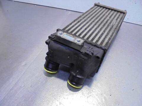 Foto 3ª: Intercooler Citroen C4 PICASSO 140CV 103KW [9HZ] (2006)