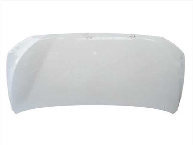 Foto 3ª: Capot Bmw Serie 5 518 530 D XDRIVE (2009)