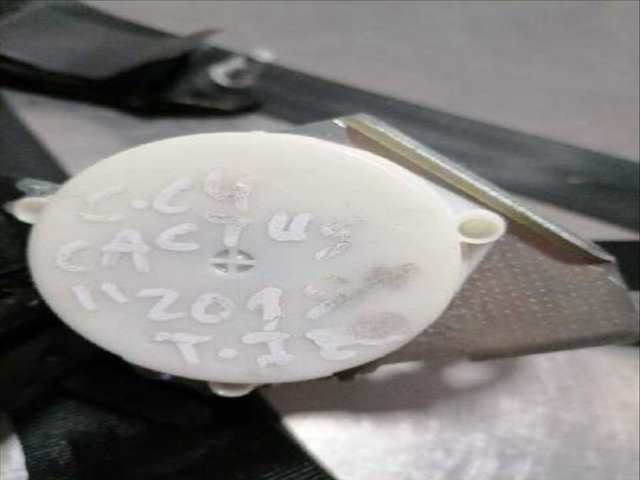 Cinturón Trasero Izquierdo Citroen C4 VERSION INDEFINIDA