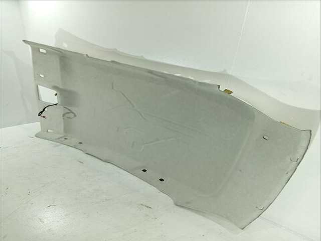 Foto 3ª: Techo Interior Renault Zoe ZOE 88CV 65KW [5AQ60] (2016)