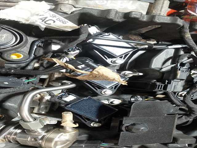 Foto 3ª: Motor Completo Ford Puma ST-LINE DESIGN 125CV 92KW [B7JB] (2022)