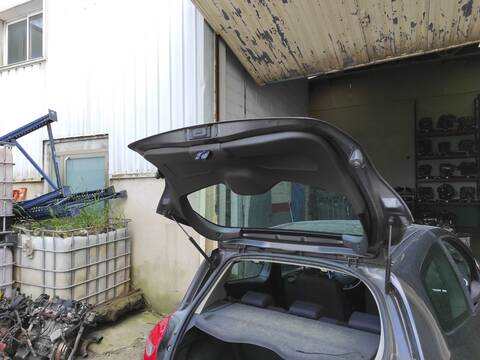 Portón Renault Clio K4M800