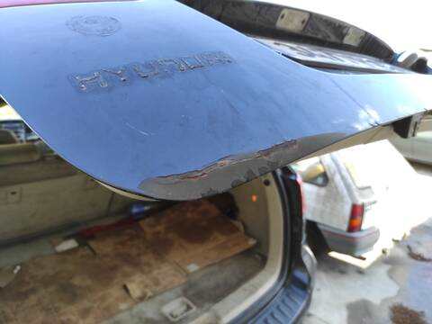 Foto 3ª: Portón Hyundai Santa Fe D4EB (2006)
