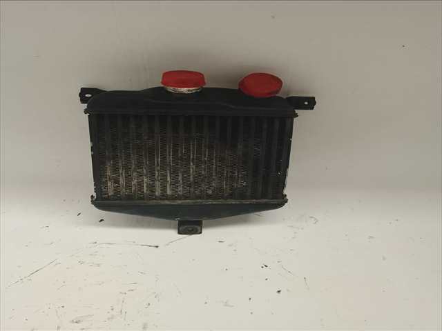 Foto 3ª: Radiador Aceite Ssangyong Musso 2.9 D [D/SY622LA] (1999)