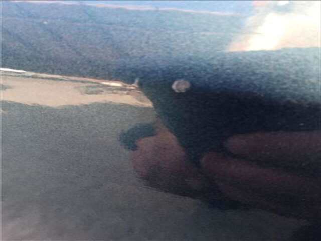 Foto 3ª: Puerta Delantera Izquierda Volkswagen Tiguan 2.0 ADVANCE [2.0 LTR. - 110 KW TDI] [DTSA]