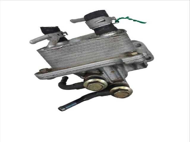 Bomba de Aceite Nissan Murano 2.5 DCI 4X4