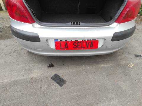 Paragolpes Trasero Peugeot 307 NFU
