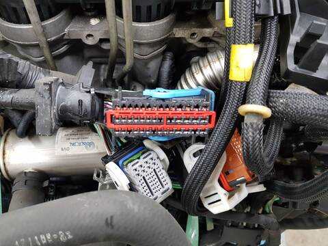 Foto 3ª: Motor Completo Ford Focus TREND (2007)