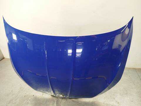 Foto 3ª: Capot Skoda Fabia 1.0 TSI 110CV 81KW [DLAA] (2023)