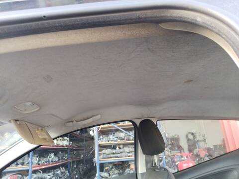 Techo Interior Citroen C2 HFX