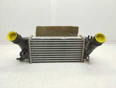 Intercooler Ford EcoSport COOL CONNECT 125CV 92KW