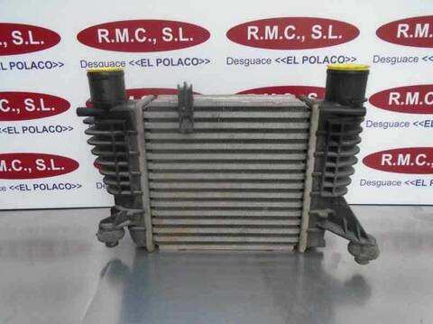 Intercooler Nissan Juke 1.5 TD CAT 110CV 81KW