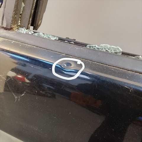 Foto 2ª: Puerta Delantera Izquierda Bmw Serie 3 320 0.1 E90 (2007)