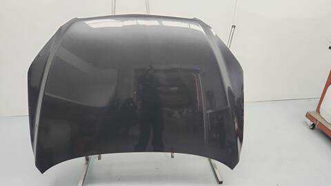 Foto 1ª: Capot Toyota Rav4 EXECUTIVE 136CV 100KW [2AD] (2008)