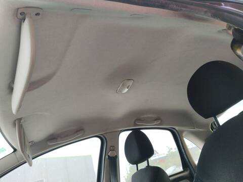Techo Interior Citroen C3 HFX